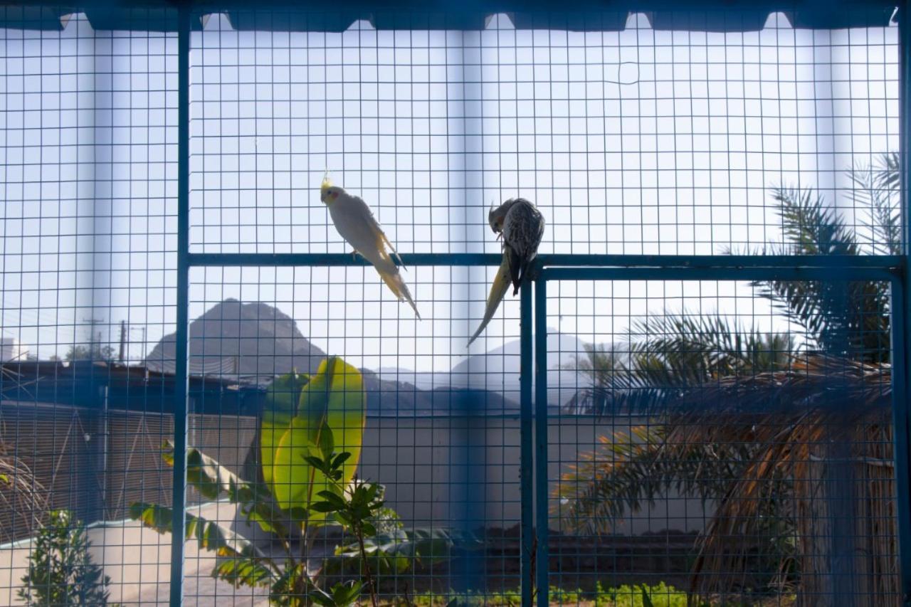 The Inn Nizwa Exterior foto